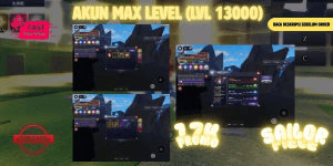 Max Level Account