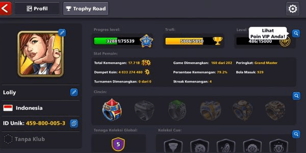 Gambar Product Account + Coins 4B (data according to the picture)