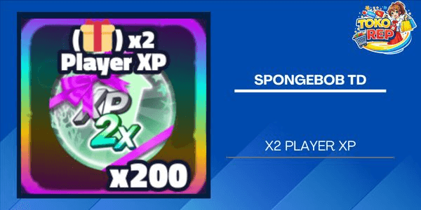 Gambar Product 2x Player XP