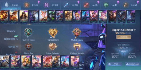 Product Showcase