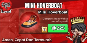 Mini Hoverboat