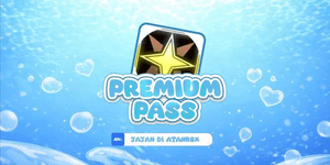 Premium Pass | Sol'S RNG