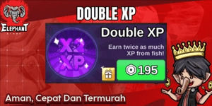 Double XP