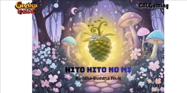 Gambar Product Hito Hito no Mi