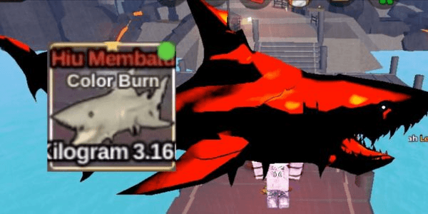 Gambar Product Fossilized Shark