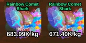 Gambar Product Rainbow Comet Shark