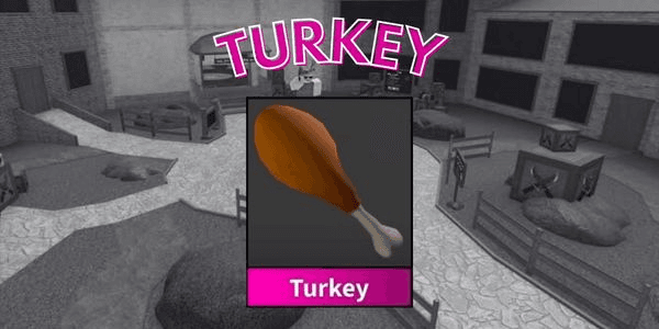 Gambar Product Turkey