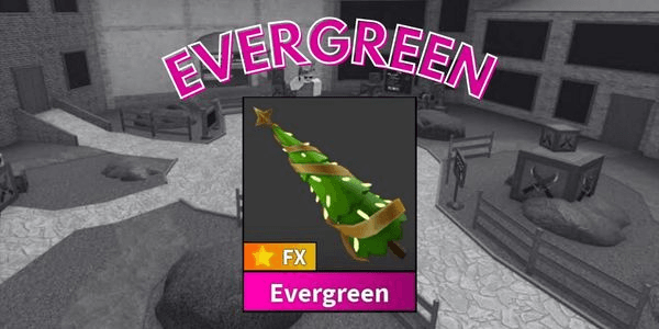 Gambar Product Evergreen