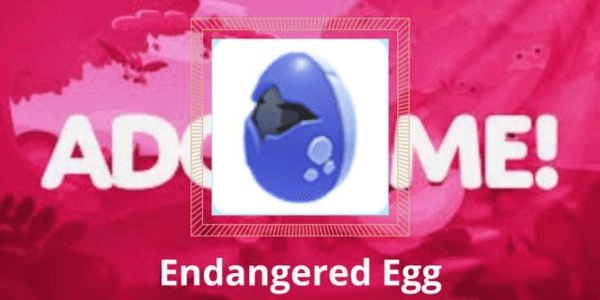 Gambar Product Endangered Egg