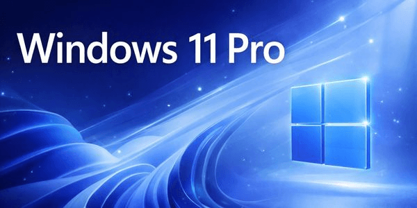 Gambar Product Windows 11 Professional