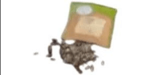 Assorted Seeds