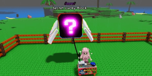 Secret Lucky Block