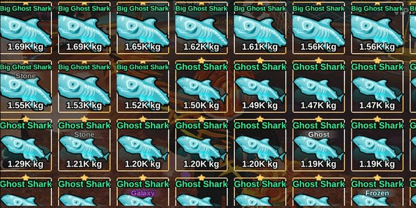 Gambar Product Ghost Shark