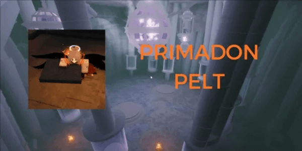 Primadon Pelt