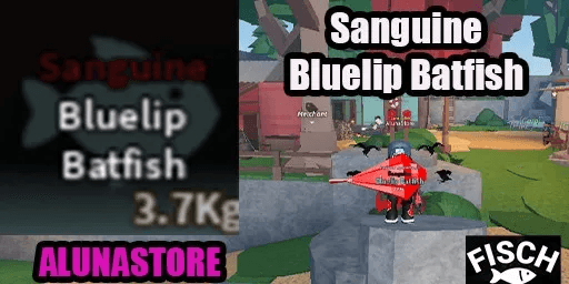 Sanguine Bluelip Batfish - Material Migu Rod Fisch