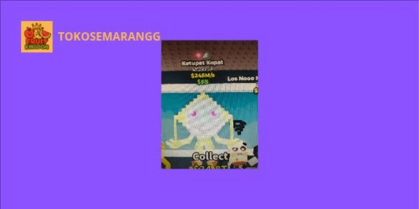 Gambar Product Ketupat Kepat