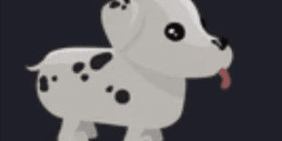 Gambar Product Dalmatian