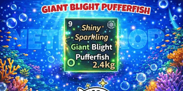 Gambar Product Giant Blight Pufferfish