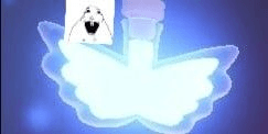 fly potion