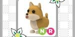 Gambar Product NR Shiba Inu - Adopt Me