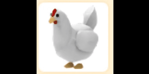 Gambar Product Chicken