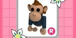 Gambar Product R Business Monkey - Adopt Me