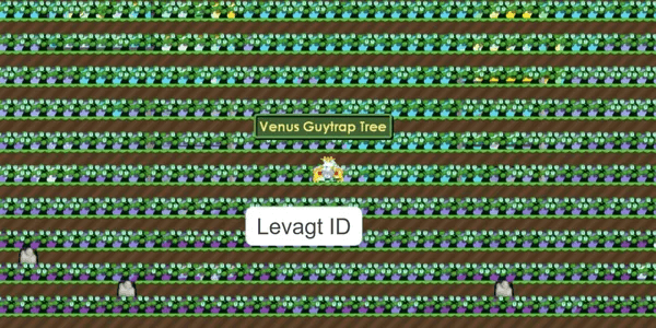 Venus GuyTrap Farm Full Ready To Harvest