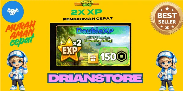 2x XP