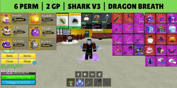 Gambar Product Blox Fruits Account — Perm Fruits & Gamepasses - 07