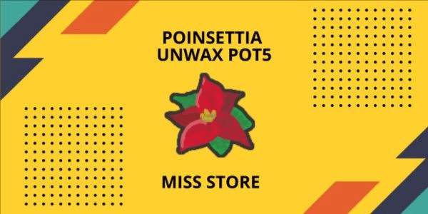 Gambar Product Unwax Poinsettia Potensial 5