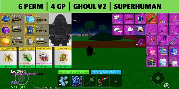 Gambar Product Blox Fruits Account — Perm Fruits & Gamepasses - 09