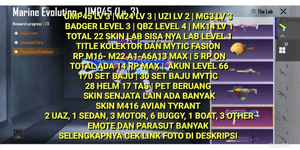 PUBG VERY CHEAP A2