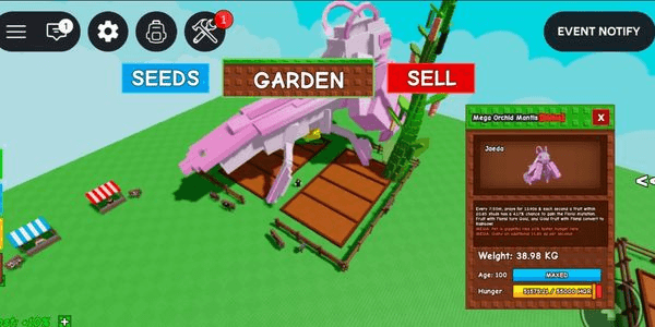 Gambar Product Mega Orchid Mantis 38kg Age 100