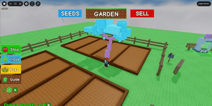 ACCOUNT CANDY BLOSSOM - GROW A GARDEN