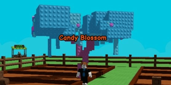 Gambar Product Akun 1 Candy Blossom Tree Grow a Garden