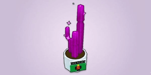 Gambar Product Market Crash Cactus