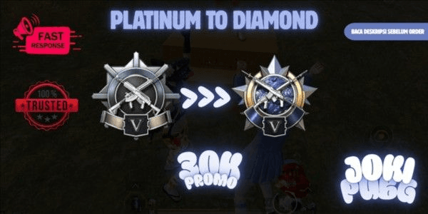 Gambar Product Platinum To Diamond