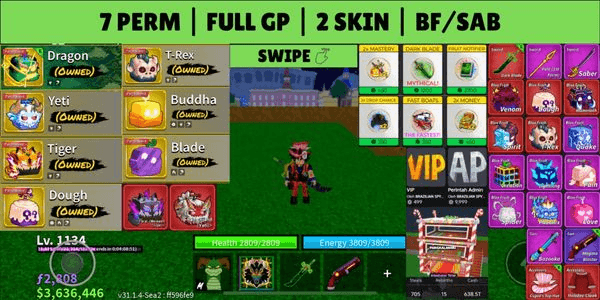 Gambar Product Blox Fruits Account — Perm Fruits & Gamepasses - 03