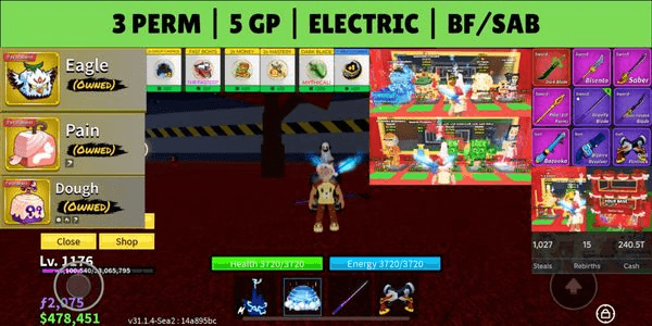 Gambar Product Blox Fruits Account — Perm Fruits & Gamepasses - 05