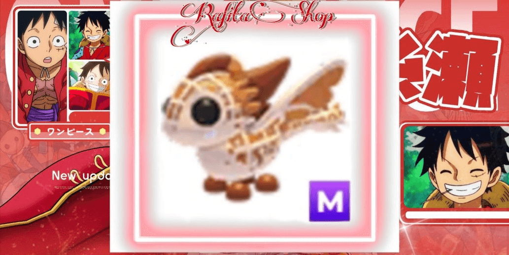 Product Showcase