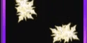 HEAVENLY SHURIKENS (249)