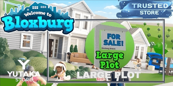 Large Plot