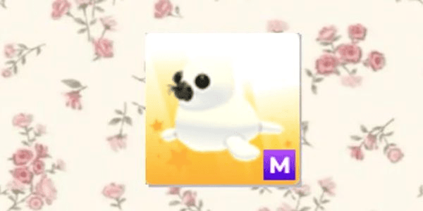 Gambar Product mega m harp seal