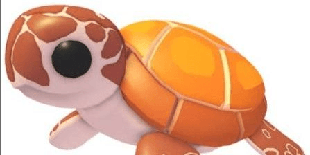 Gambar Product Sea Turtle