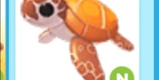 Gambar Product Neon Sea Turtle