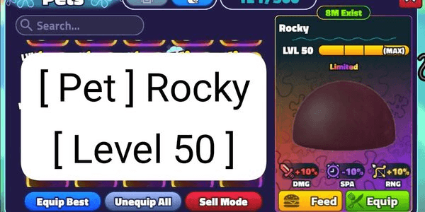 Gambar Product Rocky