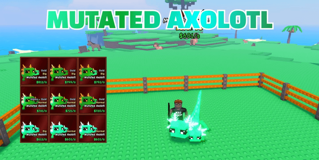 Product Showcase