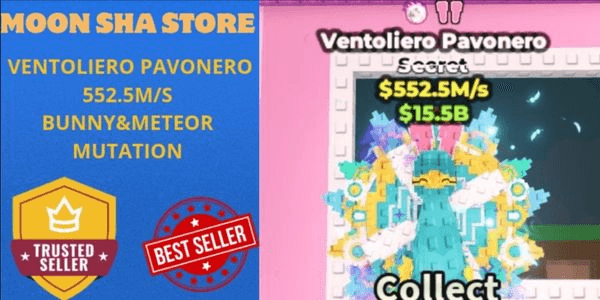 Gambar Product Ventoliero Pavonero