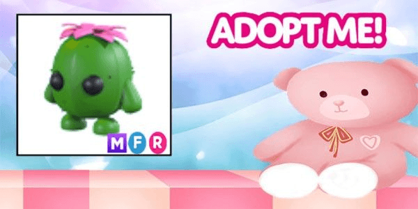 Gambar Product Cactus Friend MFR Adopt Me Pet
