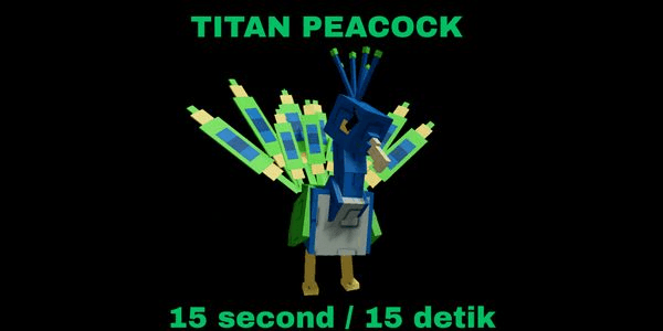 Gambar Product Peacock 15 SEC